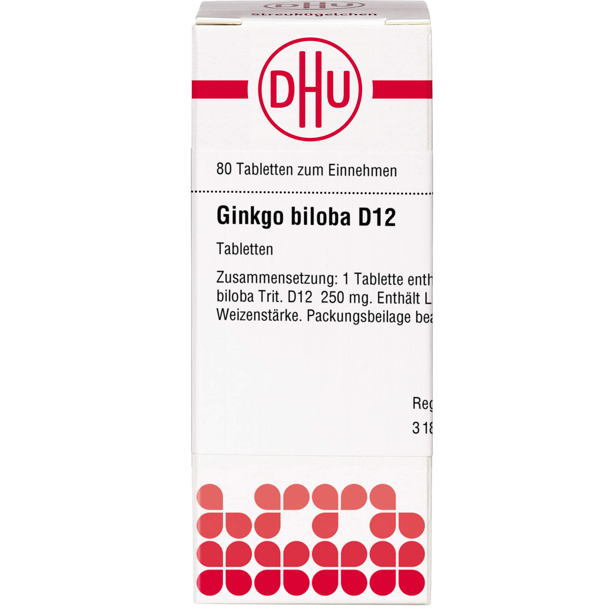 GINKGO BILOBA D 12 Tabletten